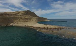 Argentina, Blue Patagonia | Landscape: Sea lions (otaria flavescens) colony at Península Valdés, Argentina | Wade Sedgwick | DJI_0011 P Piramide G Harris WCS Convenio - WCS Chubut red