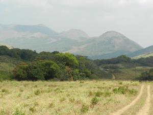 India/Bandipur/Western Ghats | Bandipur landscape | Ng Bishwanath Singh | Landscape_Bandipur_Ng