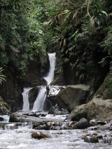 Colombia/Chocó - Darién | Landscape | Christian Castaño | Quebrada