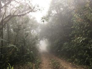 Colombia/Chocó - Darién | Landscape | Jorge Parra | Paisaje6
