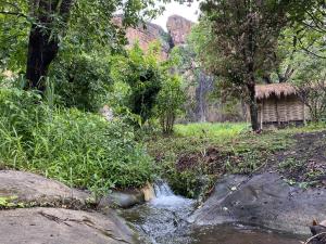  | Forest landscape in the CAR Northeast Protected Areas Complex. | Photo © Ana Yi/WCS. | ©PH05_Foh landscapes