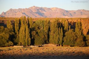 Argentina, Laguna Blanca National Park, Neuquén province | A producer´s house at Parque Nacional Laguna Blanca, Neuquén | Federico Gregorio | A producer´s house at Parque Nacional Laguna Blanca (Federico Gregorio)