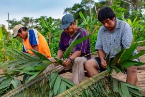 Bolivia | Tsimane Mosetene, tejido de jatata | Robert Wallace/WCS | jatata_Robert Wallace_WCS.jpg