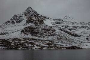 Bolivia | Nevado | Robert Wallace/WCS | Kantutani-Robert Wallace-WCS.jpg