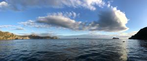 Argentina, Isla de los Estados, Tierra del Fuego | Landscape at Isla de los Estados | Claudio Campagna / WCS Argentina | Landscape at Isla de los Estados (Claudio Campagna).jpg