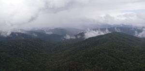 Honduras | Marcio Martinez, ICF | Balam | VistaAerea_RioPlatano