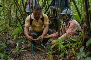 Loreto, Peru | WCS realizando y guiando monitoreo junto a vigilantes de la Reserva Nacional Matsés  | © Kevyn Arce - WCS Perú | Monitoreo © Kevyn Arce - WCS Perú