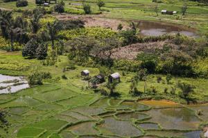 Mamabay, Madagascar | community | FAO/Rijasolo | IMG_7392