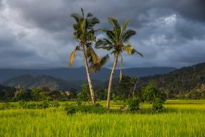 Mamabay, Madagascar | landscape | FAO/Rijasolo | IMS_9009