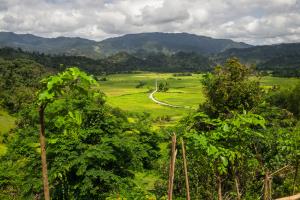 Mamabay, Madagascar | landscape | FAO/Rijasolo | L1028247