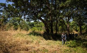 Central African Republic | Foot patrol in the Idongo-Ngassa Conservation Area | WCS/DiRoma | PH024_Ngassa_DiRoma_foot patrol.jpg
