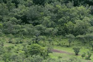 Central African Republic | Bamingui-Bangoran National Park  | WCS/AnaYi | PH031_Bamingui_Yi_landscape.jpg