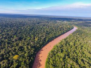 Bolivia, Madidi National Park | Heath River, a binational river and two protected areas, Madidi and Tambopata | Omar Torrico | Heath River_Madidi.jpg