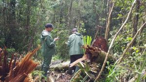 Madagascar, MaMaBay landscape | WCS park staff recording illegal activity using SMART in Makira Natural Park | Andrew Kirkby | 8. WCS Andrew Kirkby - park patrol in Makira