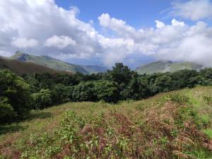 India | Kudremukh National Park landscape | Vinayaka SG | Kudremukh NP landscape 1