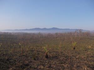 Tenasserim Transboundary Forest | Landscape | The grassland locate in core area of TYW with the background is the high mountain range, 1,800 meters from sea level that there is important willife habitat in TYW.