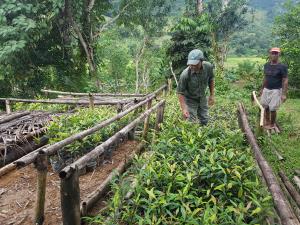 Madagascar, MaMaBay landscape | One of WCS Makira many tree nursery sites which support both restoration and community agriculture projects. | Andrew Kirkby | 14. WCS Andrew Kirkby tree nursery 2