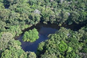 Guatemala/Selva Maya | Water and high forest in the San Andrés community concession | Victor Ramos/WCS | DSC_0778