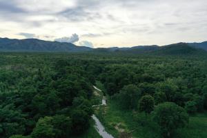 Thailand/HKK | Huai Kha Khaeng pass through the forest | DNP/WCS Thailand | Huai Kha Khaeng Stream