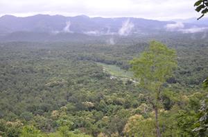 Thailand/MW | Mae Wong forest dam site | DNP/WCS Thailand | Mae Wong Dam Site