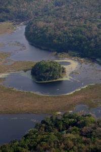 Guatemala, MBR, Carmelita | Islet in Puerto Arturo, Carmelita | Victor Hugo Ramos/WCS/Guatemala | SMAYA_20210427_VHR_1.JPG